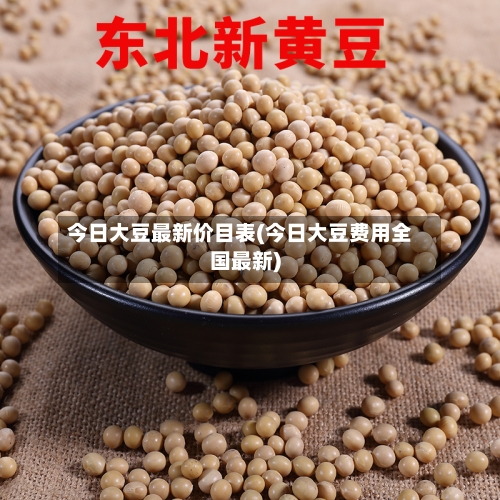 今日大豆最新价目表(今日大豆费用全国最新)-第2张图片
