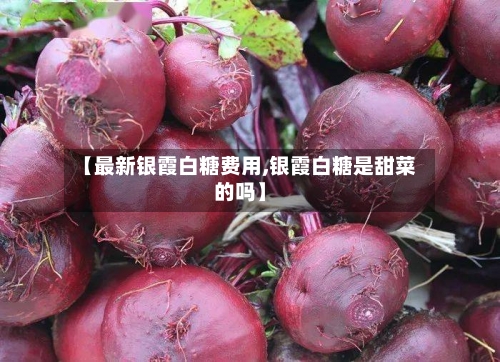 【最新银霞白糖费用,银霞白糖是甜菜的吗】-第2张图片
