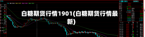 白糖期货行情1901(白糖期货行情最新)