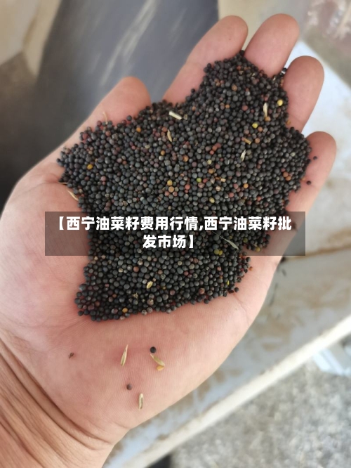 【西宁油菜籽费用行情,西宁油菜籽批发市场】-第2张图片