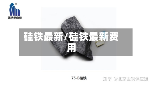 硅铁最新/硅铁最新费用-第3张图片