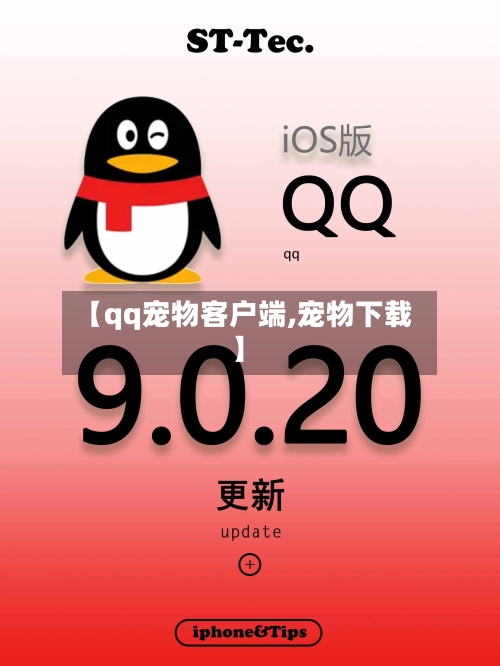 【qq宠物客户端,宠物下载】-第2张图片