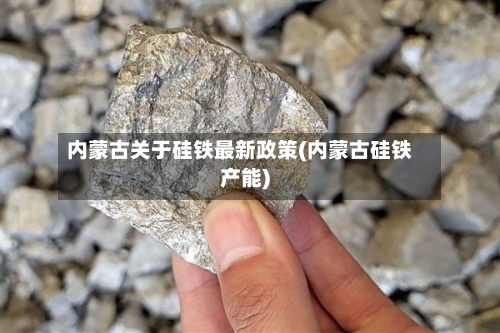 内蒙古关于硅铁最新政策(内蒙古硅铁产能)
