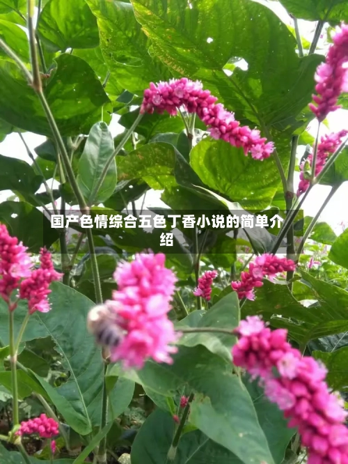国产色情综合五色丁香小说的简单介绍-第2张图片
