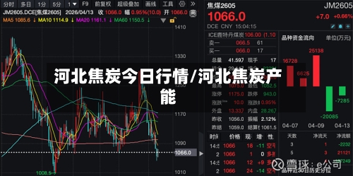 河北焦炭今日行情/河北焦炭产能-第2张图片