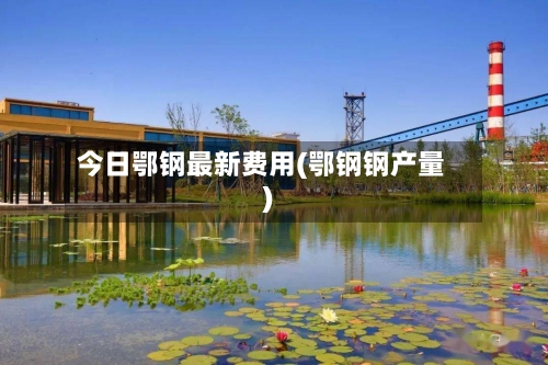 今日鄂钢最新费用(鄂钢钢产量)-第2张图片