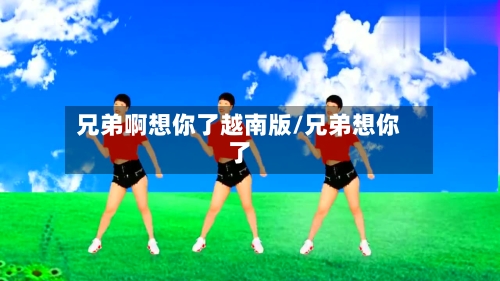 兄弟啊想你了越南版/兄弟想你了