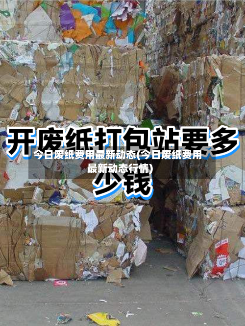 今日废纸费用最新动态(今日废纸费用最新动态行情)