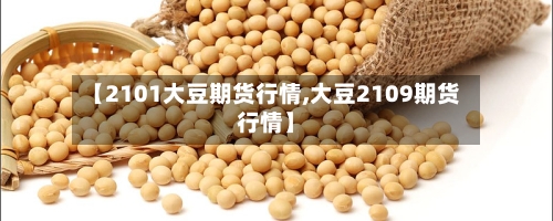 【2101大豆期货行情,大豆2109期货行情】