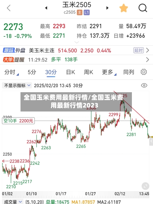 全国玉米费用最新行情/全国玉米费用最新行情2023-第3张图片