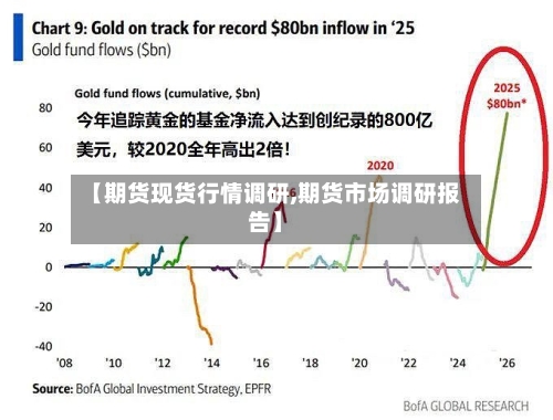 【期货现货行情调研,期货市场调研报告】