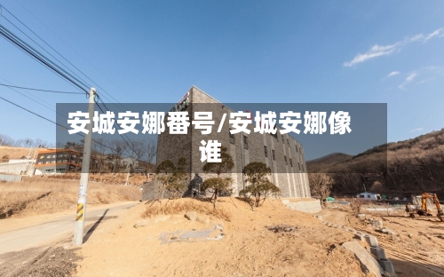 安城安娜番号/安城安娜像谁