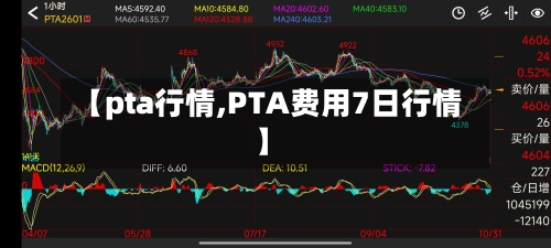【pta行情,PTA费用7日行情】-第2张图片
