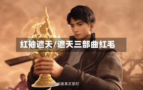 红袖遮天/遮天三部曲红毛-第2张图片