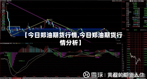 【今日郑油期货行情,今日郑油期货行情分析】-第3张图片