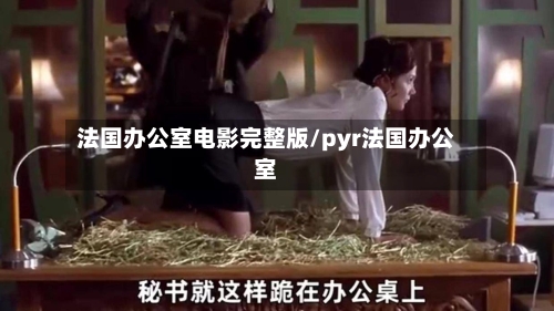 法国办公室电影完整版/pyr法国办公室
