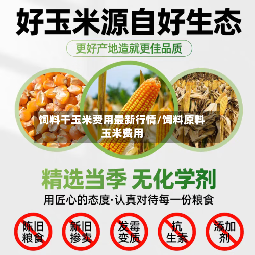 饲料干玉米费用最新行情/饲料原料玉米费用
