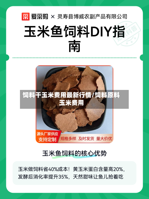 饲料干玉米费用最新行情/饲料原料玉米费用-第2张图片