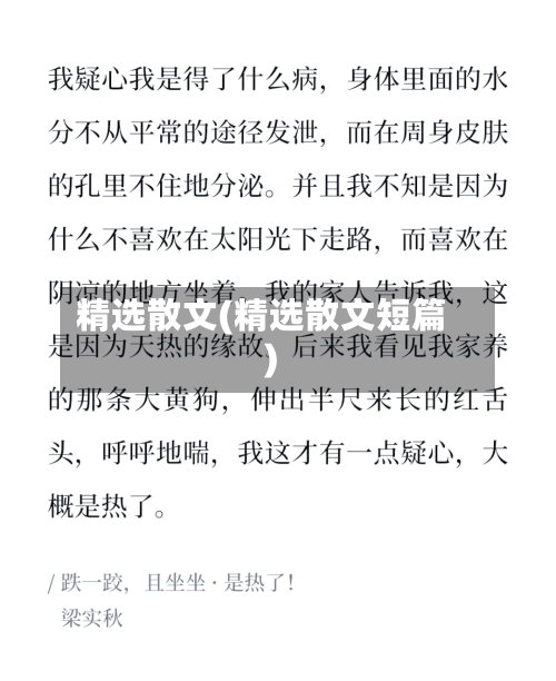 精选散文(精选散文短篇)-第3张图片