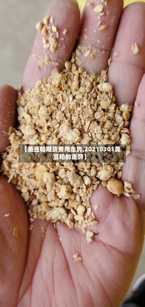 【美豆粕期货费用走势,20210301美豆粕的走势】
