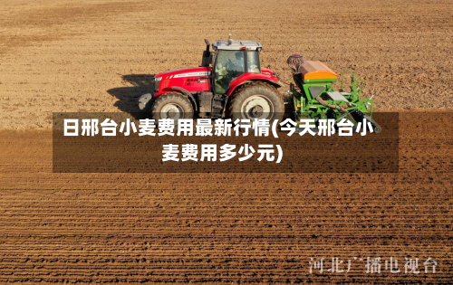 日邢台小麦费用最新行情(今天邢台小麦费用多少元)