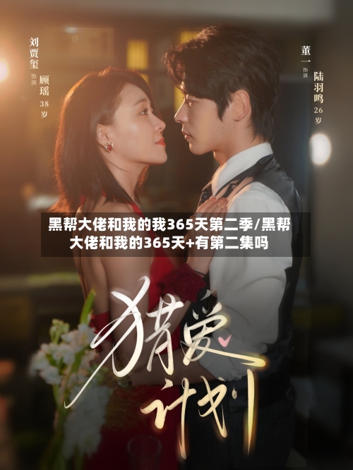 黑帮大佬和我的我365天第二季/黑帮大佬和我的365天+有第二集吗