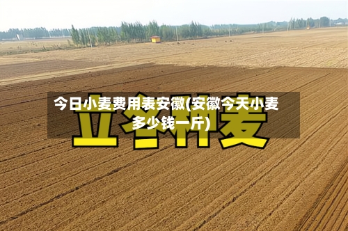 今日小麦费用表安徽(安徽今天小麦多少钱一斤)