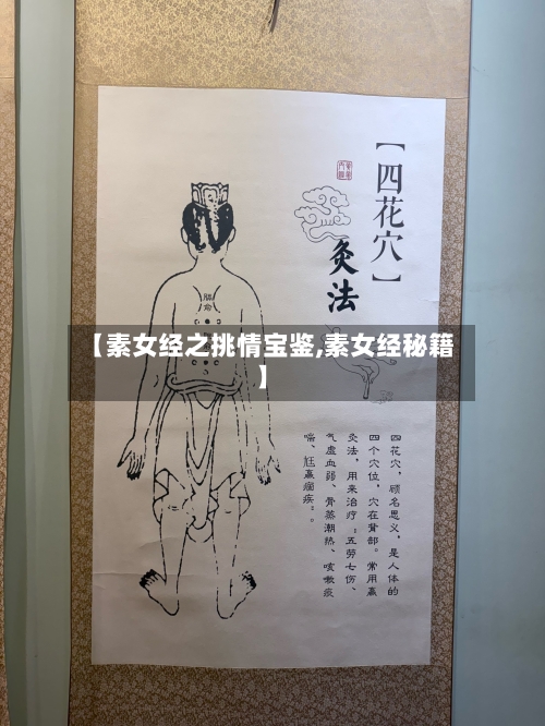【素女经之挑情宝鉴,素女经秘籍】