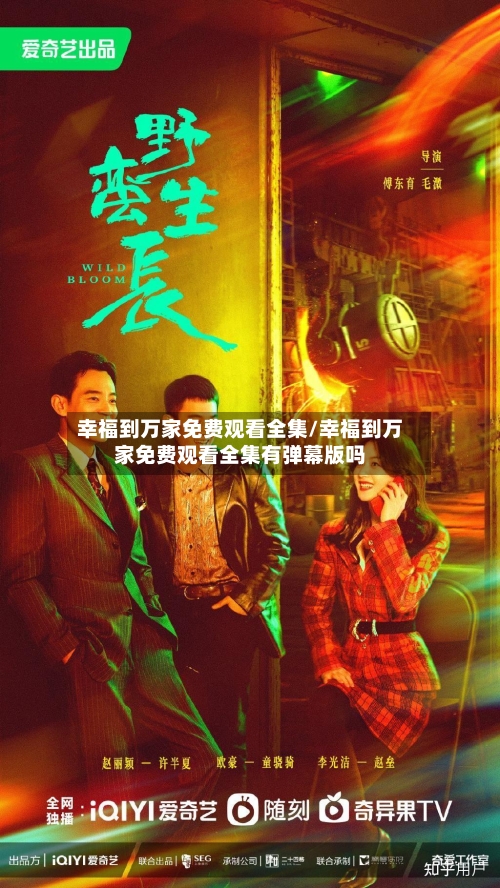 幸福到万家免费观看全集/幸福到万家免费观看全集有弹幕版吗-第2张图片