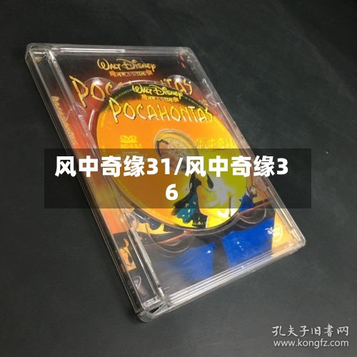 风中奇缘31/风中奇缘36-第2张图片