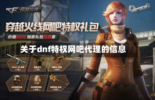 关于dnf特权网吧代理的信息-第3张图片