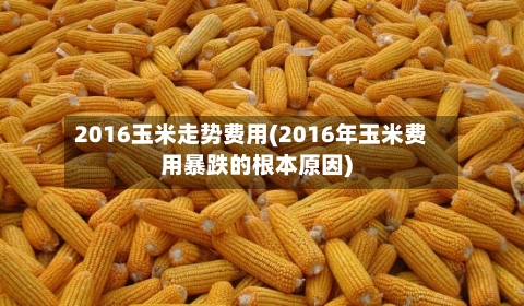 2016玉米走势费用(2016年玉米费用暴跌的根本原因)