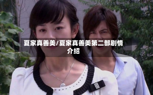 夏家真善美/夏家真善美第二部剧情介绍