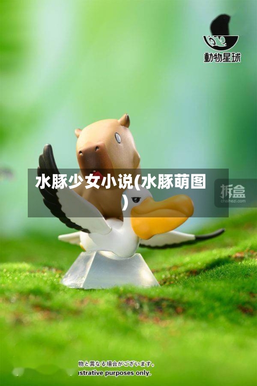 水豚少女小说(水豚萌图)-第2张图片