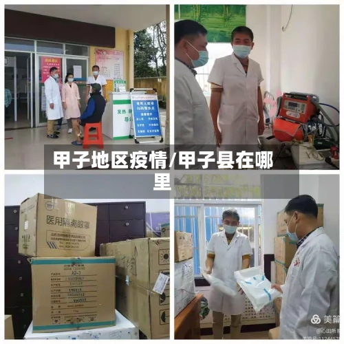 甲子地区疫情/甲子县在哪里
