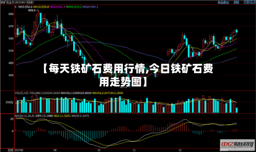【每天铁矿石费用行情,今日铁矿石费用走势图】