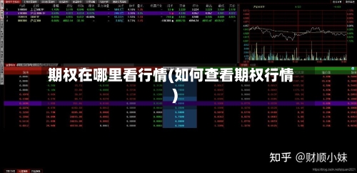 期权在哪里看行情(如何查看期权行情)-第2张图片