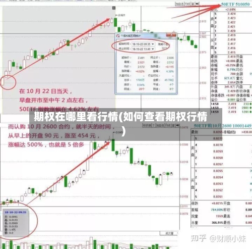 期权在哪里看行情(如何查看期权行情)-第3张图片