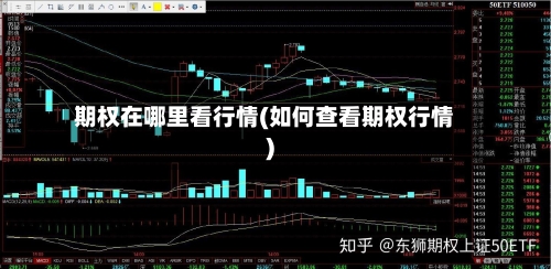 期权在哪里看行情(如何查看期权行情)