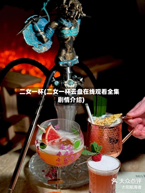 二女一杯(二女一杯云盘在线观看全集剧情介绍)