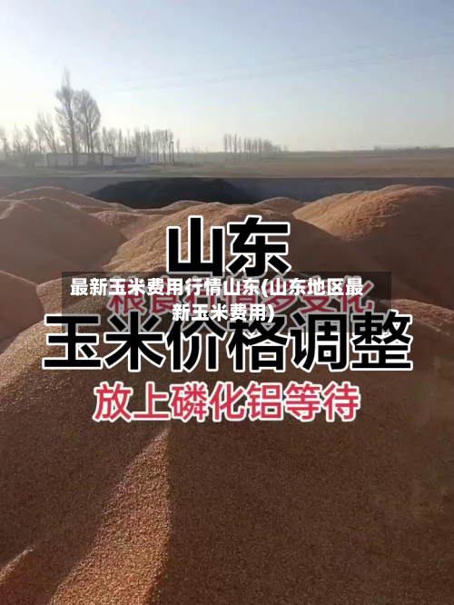 最新玉米费用行情山东(山东地区最新玉米费用)