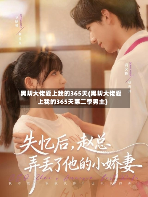 黑帮大佬爱上我的365天(黑帮大佬爱上我的365天第二季男主)