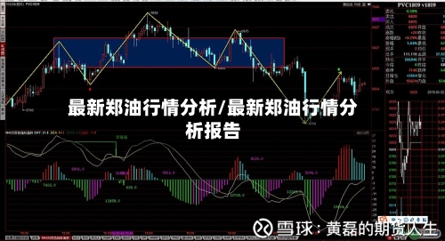 最新郑油行情分析/最新郑油行情分析报告