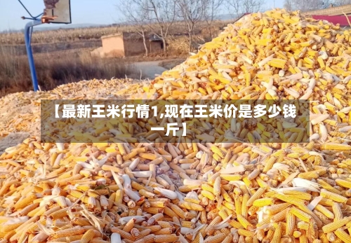 【最新王米行情1,现在王米价是多少钱一斤】-第2张图片