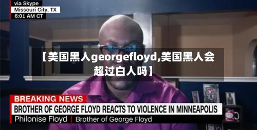 【美国黑人georgefloyd,美国黑人会超过白人吗】