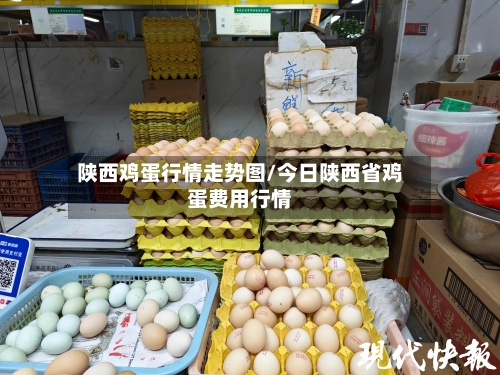 陕西鸡蛋行情走势图/今日陕西省鸡蛋费用行情-第3张图片