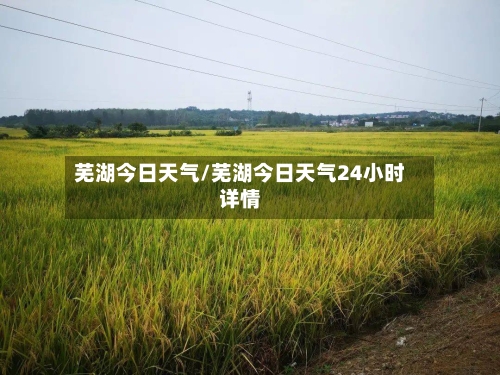 芜湖今日天气/芜湖今日天气24小时详情-第3张图片