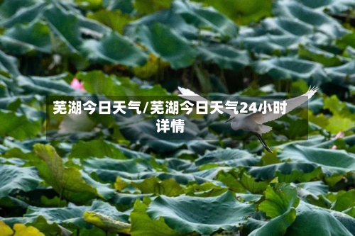 芜湖今日天气/芜湖今日天气24小时详情-第2张图片