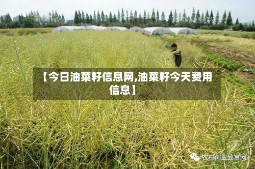 【今日油菜籽信息网,油菜籽今天费用信息】