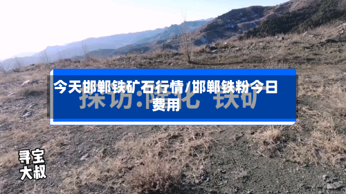 今天邯郸铁矿石行情/邯郸铁粉今日费用